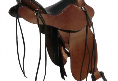 endurancebackangle