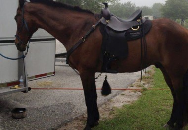 classicsteeletrailsaddlecustom