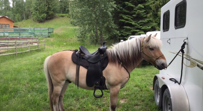 Thank you Eric for making me the perfect saddle!