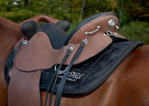 Vicki Blaze Saddle- 9-28-14 079