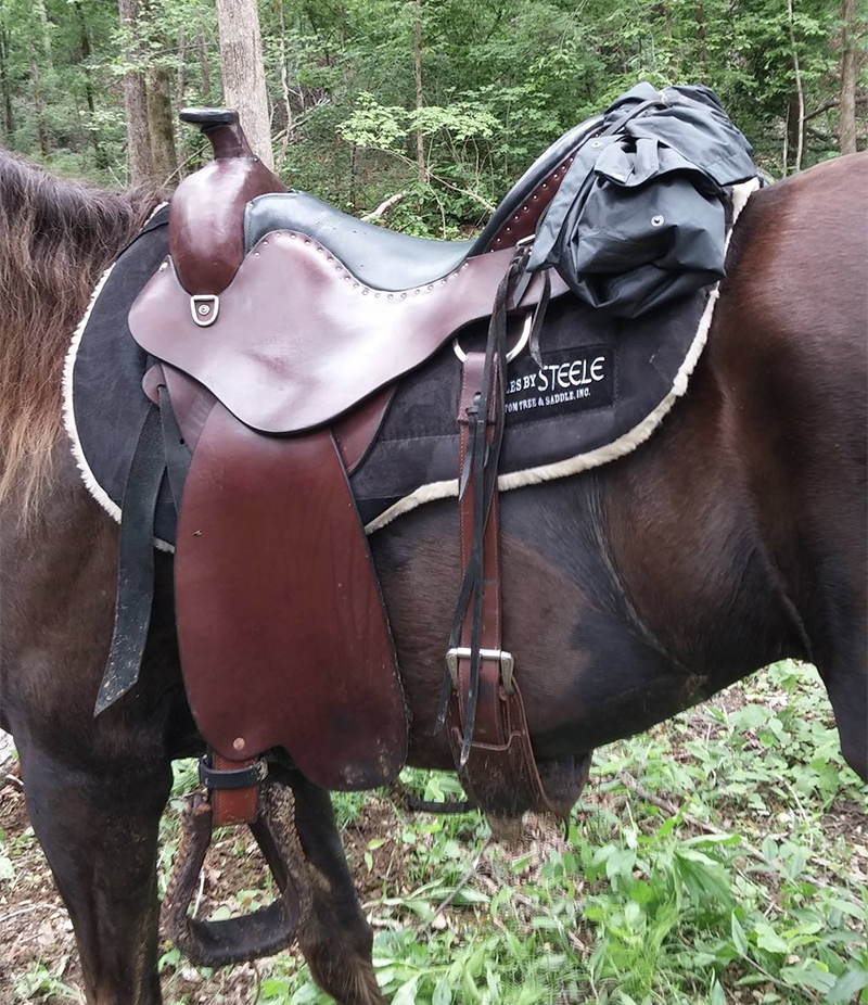 Steele Saddle - Rocky Mountain Horse