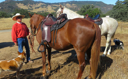 Bill showing saddles