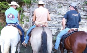 saddles steele