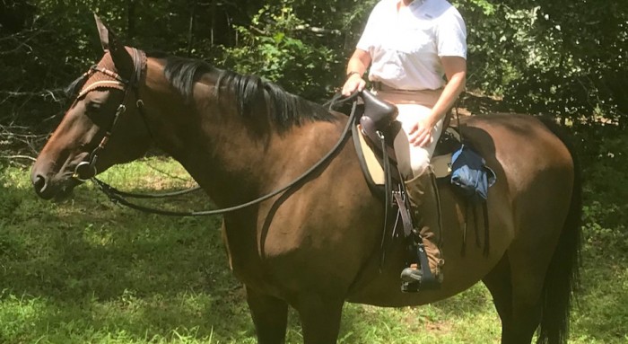 I’m thrilled with my new Steele Frontier saddle.