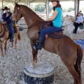 I want to tell you I LOVE my Steele saddle!