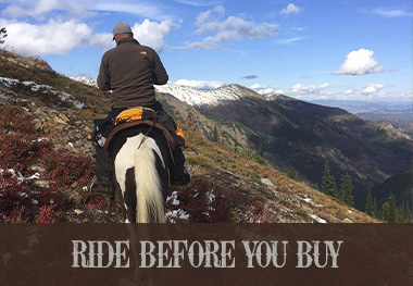 At Steele we want you to Try It "Before" You Buy It.  We are that confident in our saddles.  Try our Demo Program  (click here)